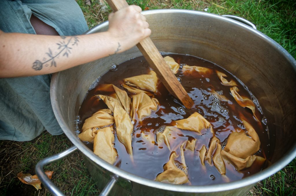bain de teinture teinture végétale