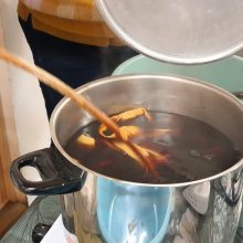 teinture teinture végétale