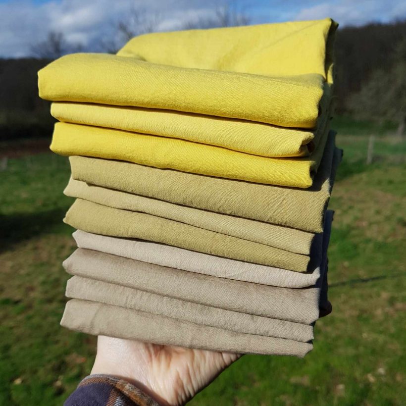 434051873_1365158540865644_2273030208330220581_n exemple de teinture végétale