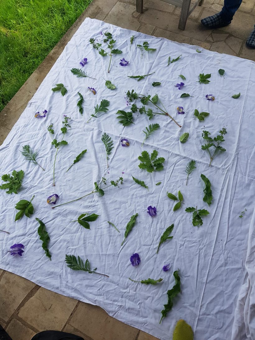 20240523_105306 atelier tataki zomé