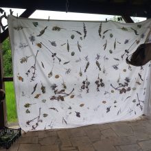 20240523_123412 atelier tataki zomé