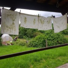 20240523_163142 atelier tataki zomé