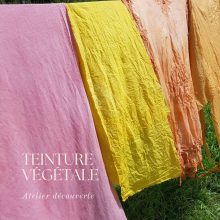 atelier teinture végétale