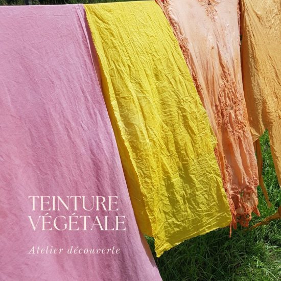 atelier teinture végétale