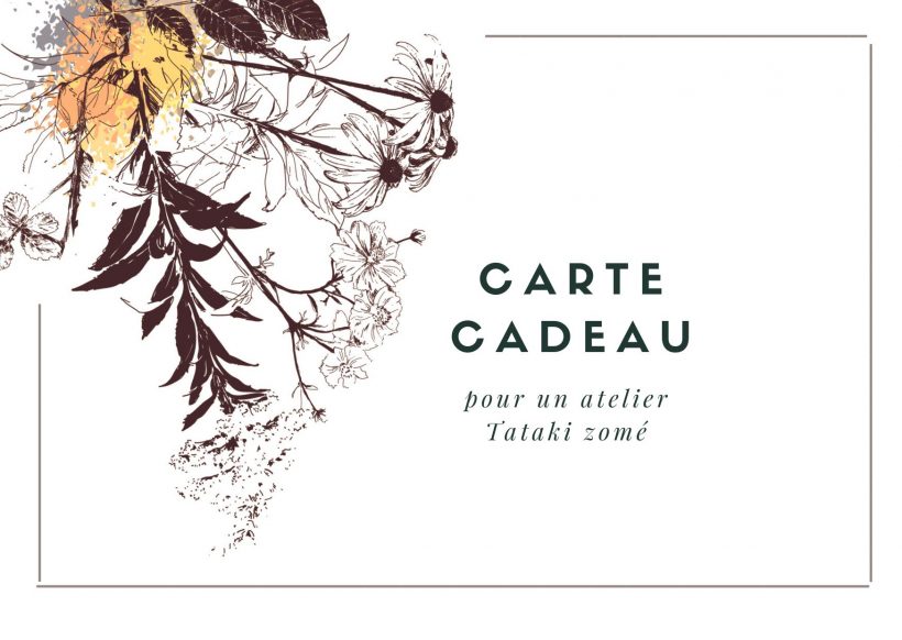 2_20241214_204922_0001